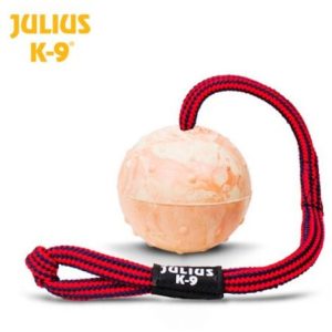 julius 242blc e1517526726443.jpg