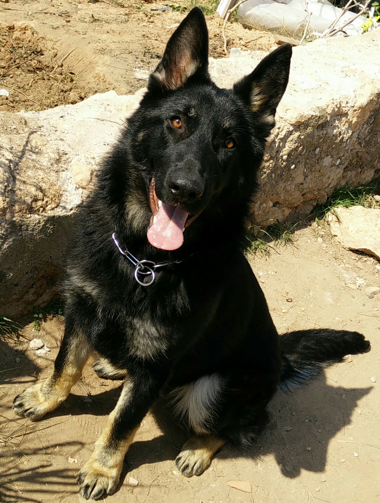 56692093 f2f3 438d ad42 b363f9b5c593