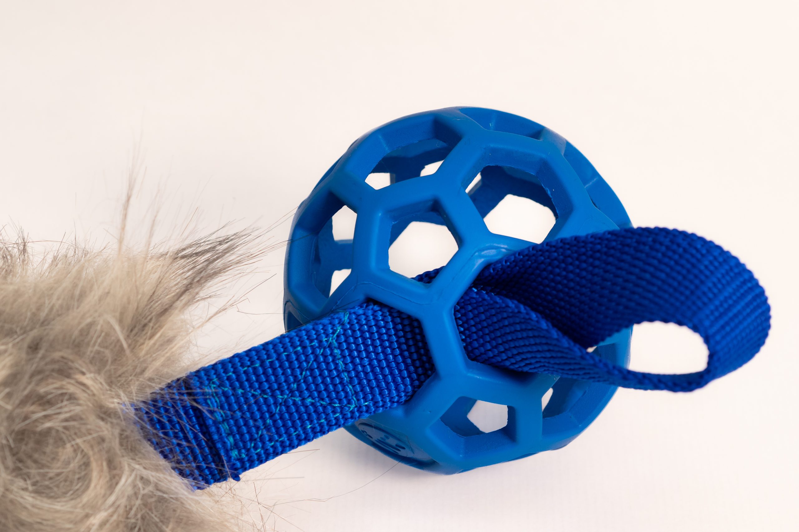 mordedor Mel pelo sintetico azul pelota BOW mordedor Mel pelo sintetico azul pelota BOW